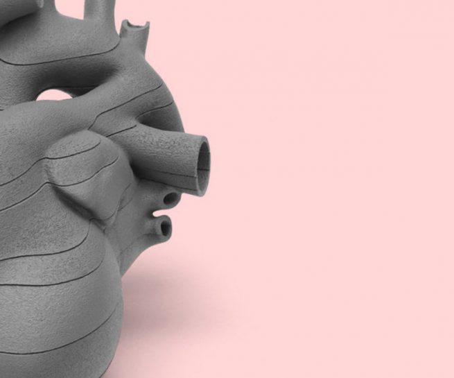 MWU 3D Models modele medyczne zaprojektowane przez Grid Studio Projektowe