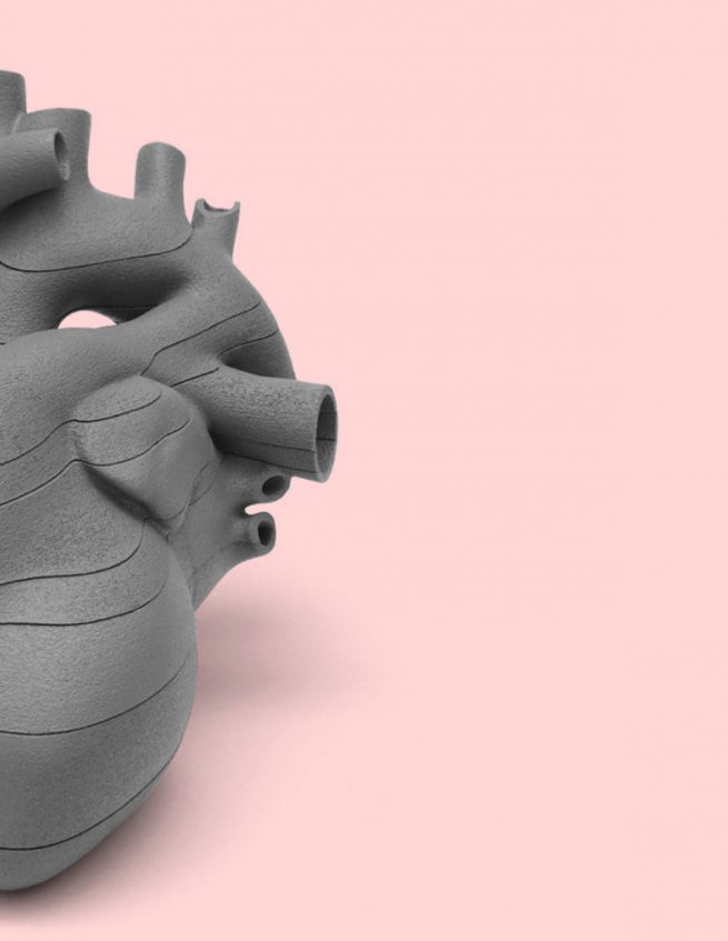 MWU 3D Models modele medyczne zaprojektowane przez Grid Studio Projektowe