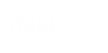 Klienci MWU 3D Models modele anatomiczne Grid Studio Projektowe